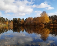 Осень на озере 3